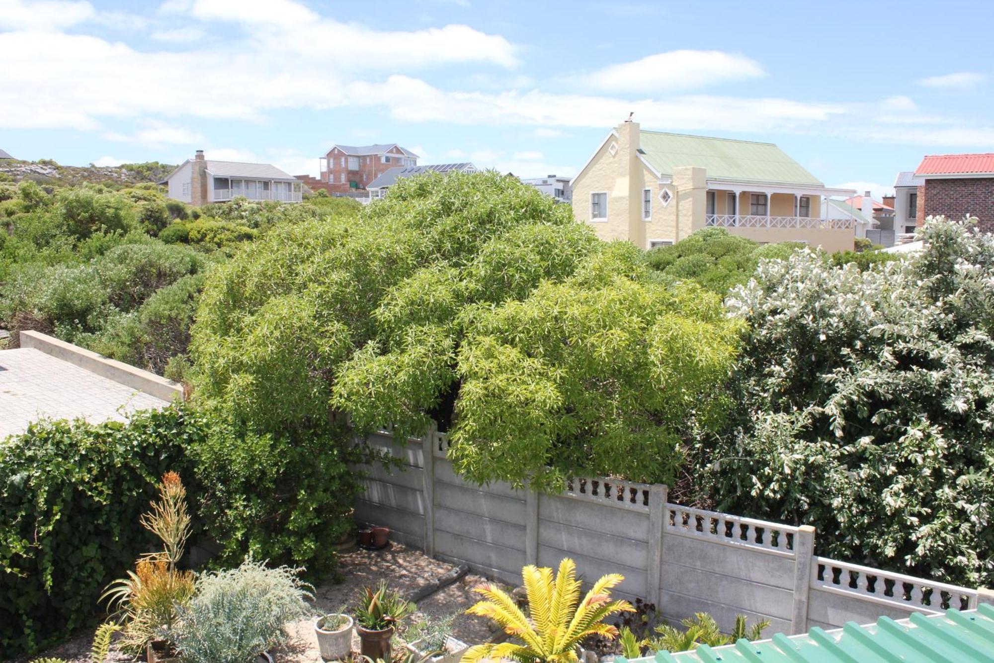The Sun Catcher Bed & Breakfast Struisbaai Kamer foto